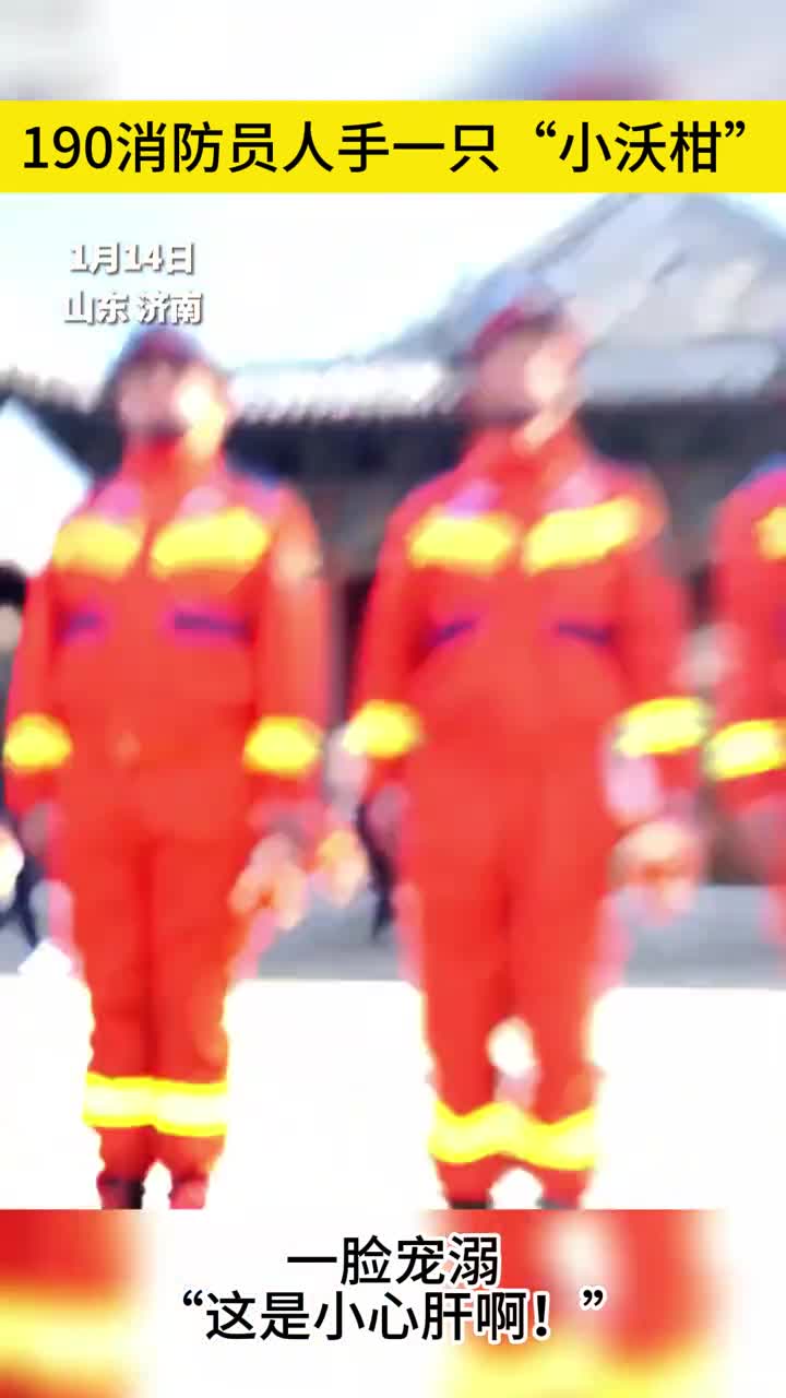 身高190济南消防员人手一只小沃柑一脸宠溺这是小心肝啊