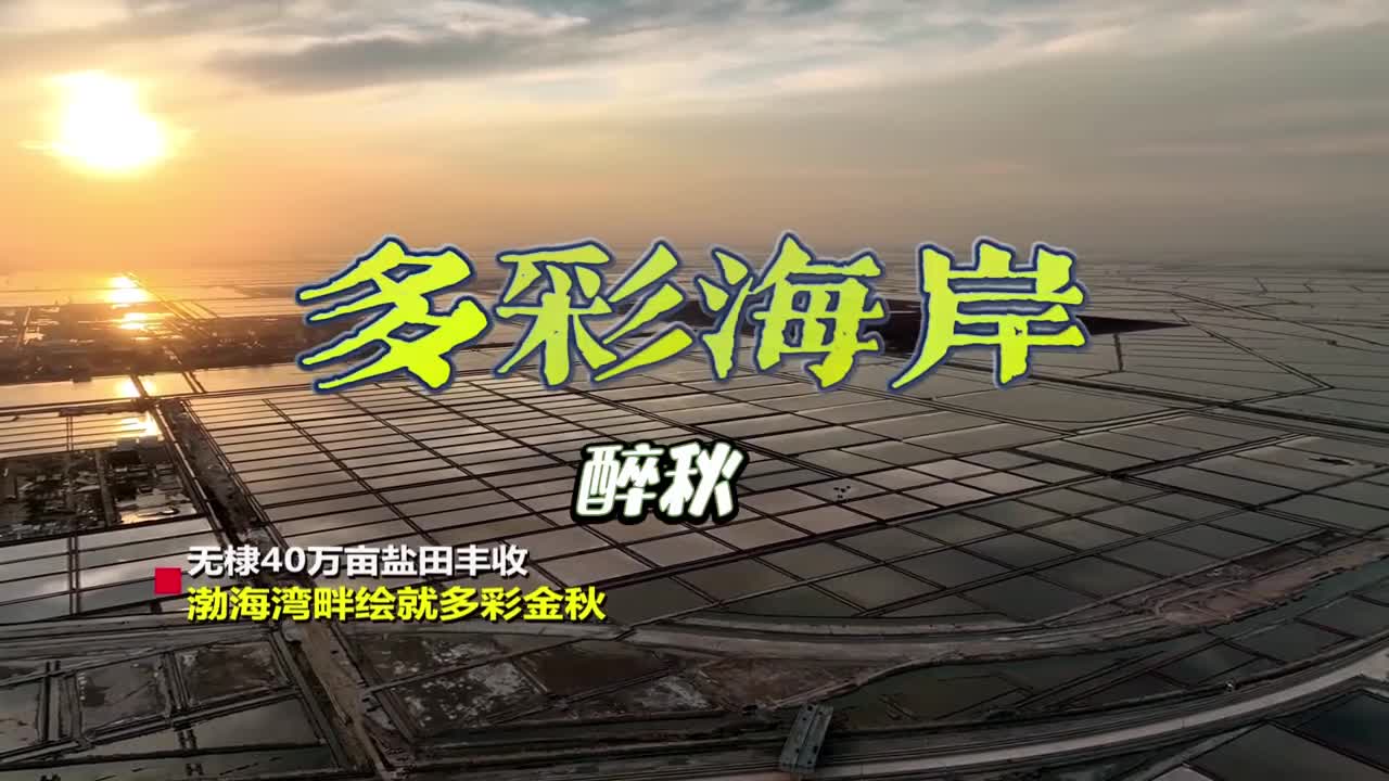 山东的海岸线也有浪漫的秋天快来领略这里多姿多彩的秋日美景
