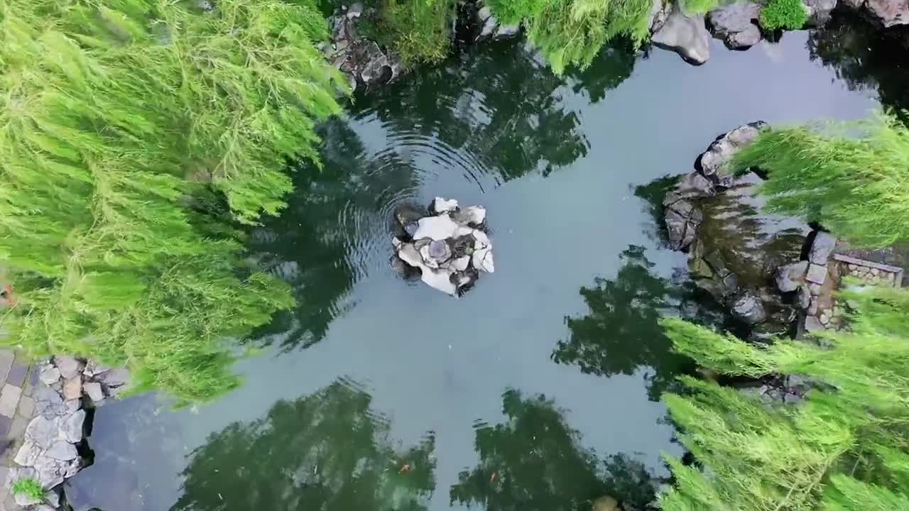 时隔五年济南月牙泉短暂复涌期待