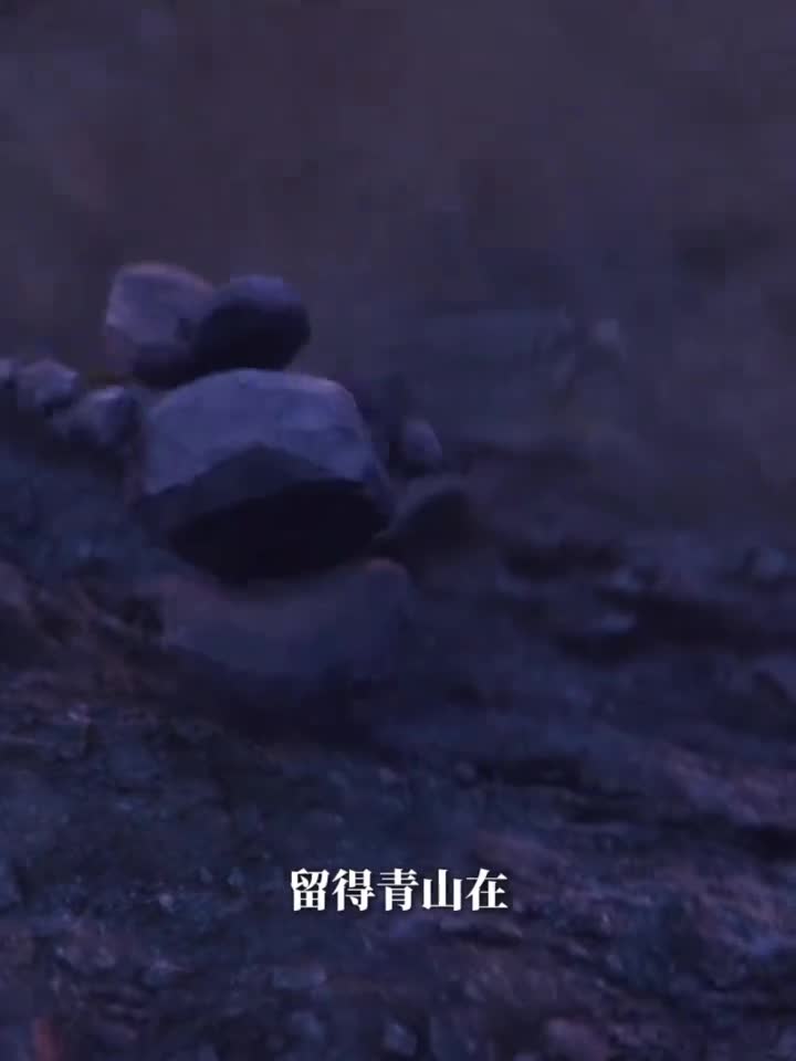 根本停不下来快和