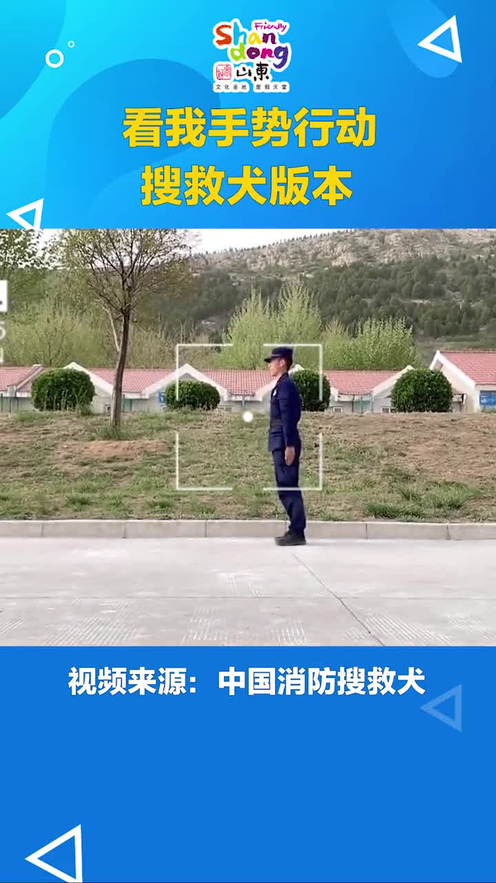 这个也太帅了搜救犬版本