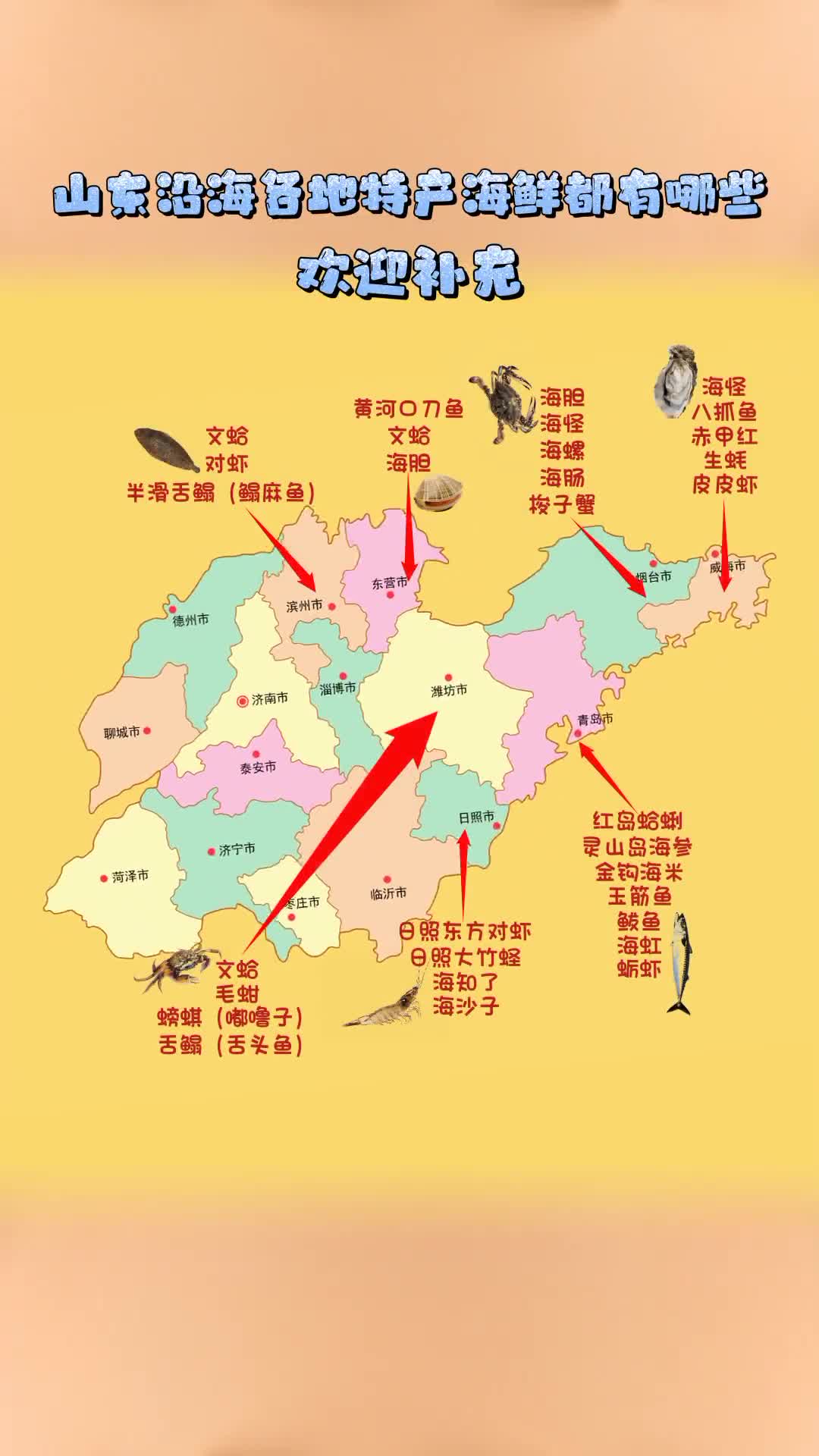 山东竟然有七个沿海城市快来说一说你的家乡有哪些特产海鲜都有哪些吃法