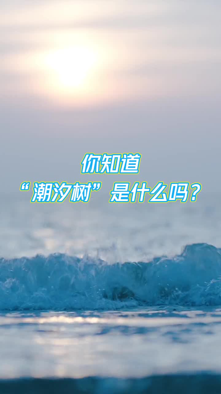 潮汐树是发育在潮滩上的一道道潮沟是一种典型的沉积地貌近日东营黄河入海口潮汐过后海滩上形成了一棵棵参天大树枝杈分明美不胜收