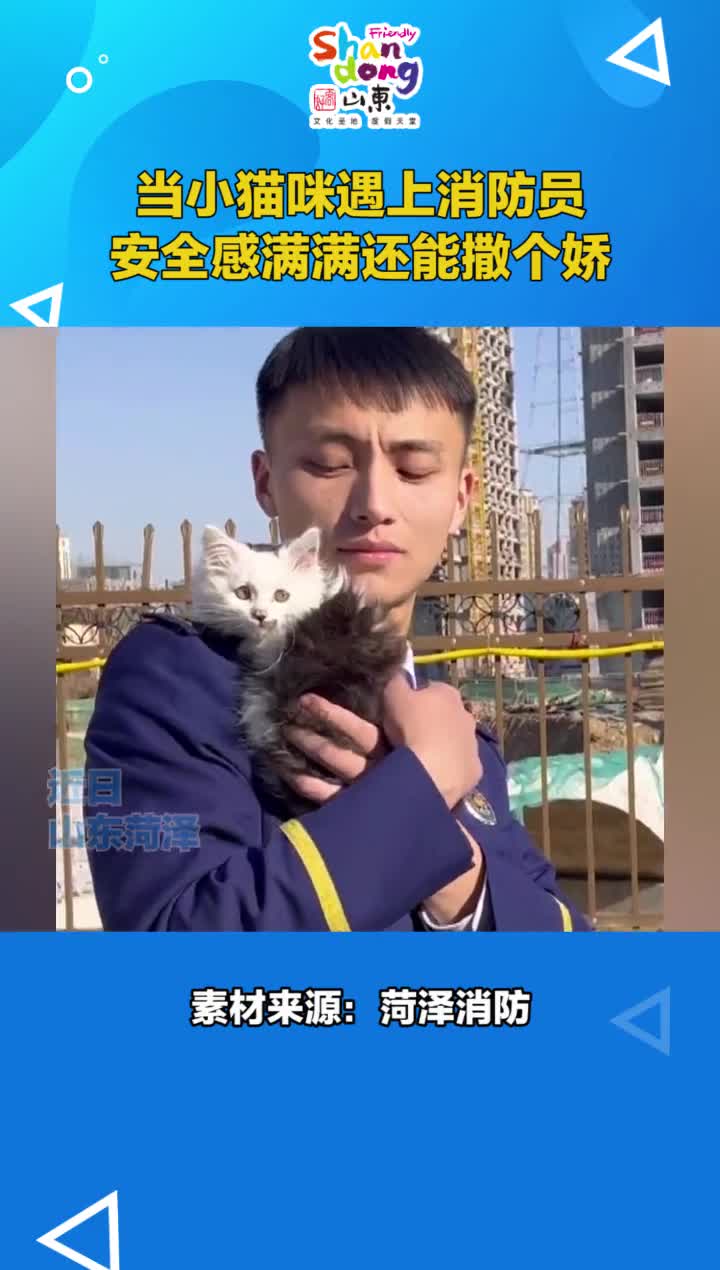 当小猫咪遇上暖心消防员安全感满满