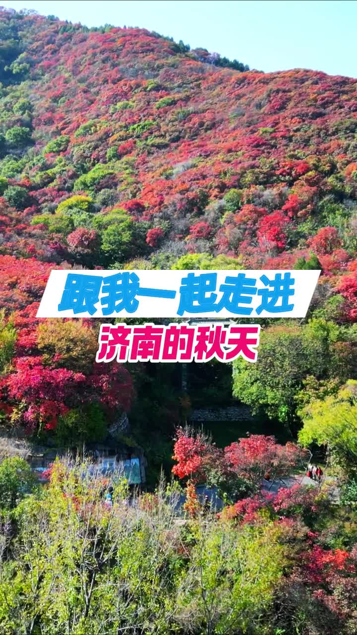 济南的秋天是诗意的是令人心动的因为秋风吹过带来了一个甜美的梦境有阳光微风和红叶