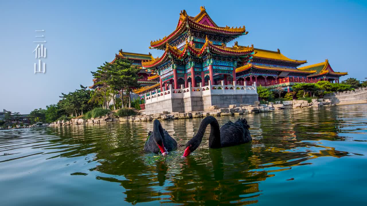 山东初雪如约而至那就好好和这个秋天告个别吧