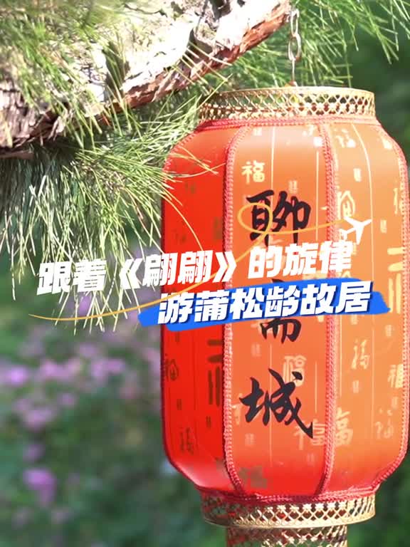 跟着翩翩的旋律和