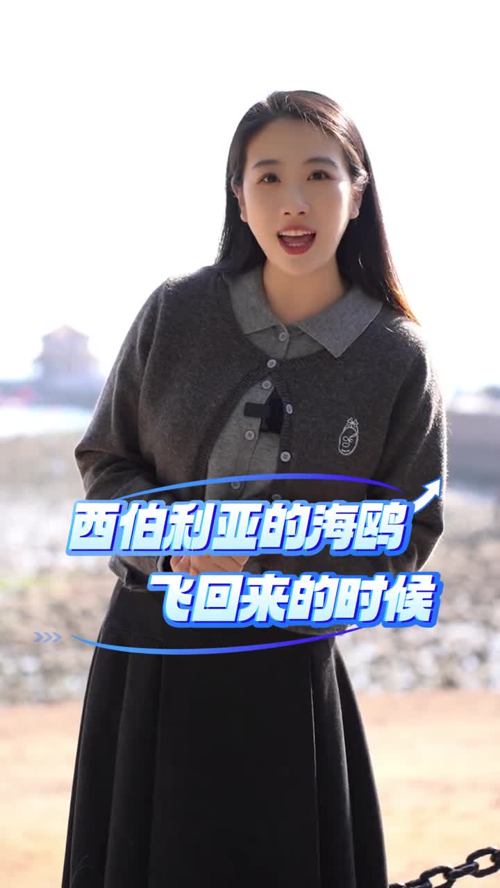 西伯利亚的海鸥飞回来的时候我们一起去青岛栈桥看海吧