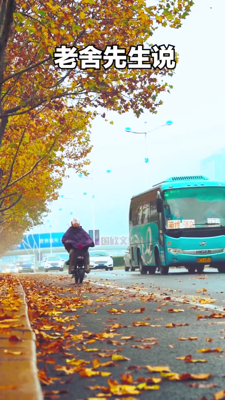 深秋已过冬将至一场秋雨一场寒屏幕前的你要记得及时添衣哦