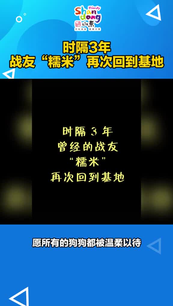 深圳网红犬糯米时隔三年生日当天回娘家原来它是一只退役警汪看到最后真的泪目