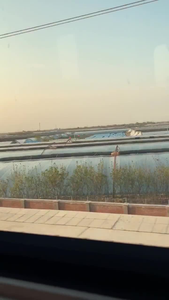 潍坊洪灾一年后看到灾区冲毁的蔬菜大棚已重建忍不住感叹句咱山东人就是刚