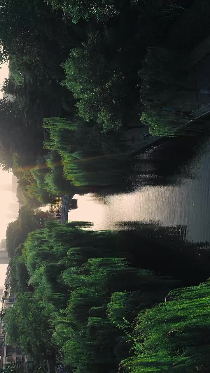 每天都是崭新的不要辜负了美好的时光