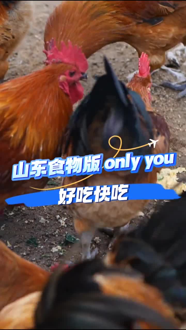 山东食物版onlyyou听完后嘴角不争气的流下了泪水好吃快吃