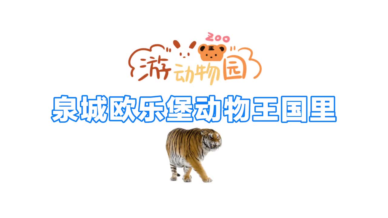 小河马的一天能有多幸福这也太可爱了吧