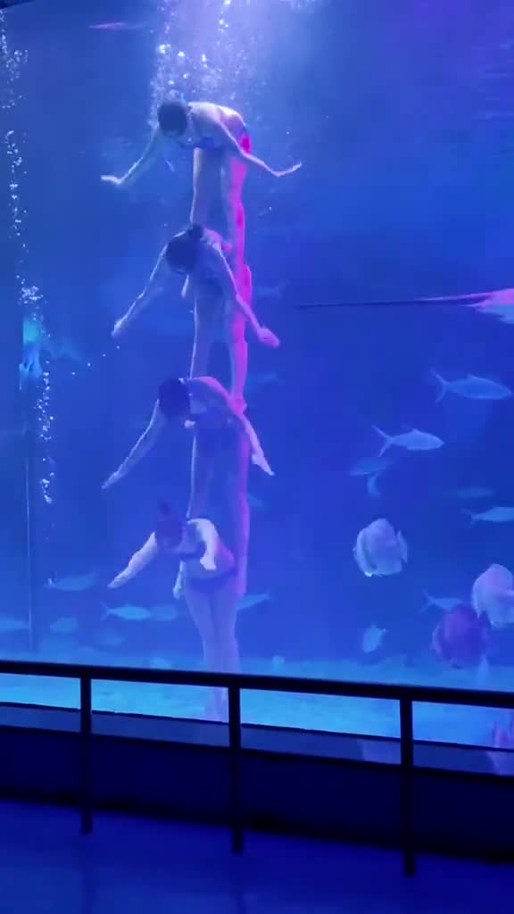 快放有点搞笑但确实十分敬业看多少遍都觉得小姐姐们让人佩服