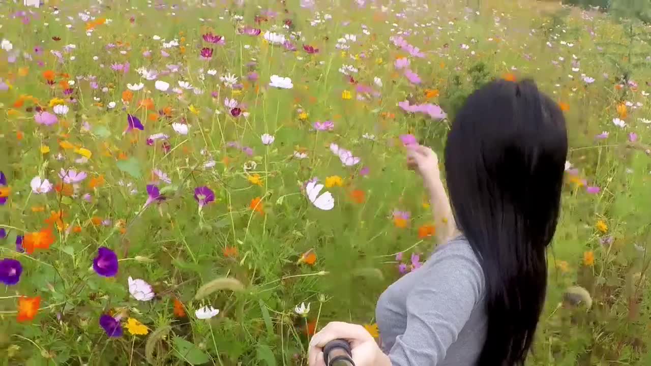 济南泉水下的世界你见过吗素沙见底空无色青石潜流暗有声