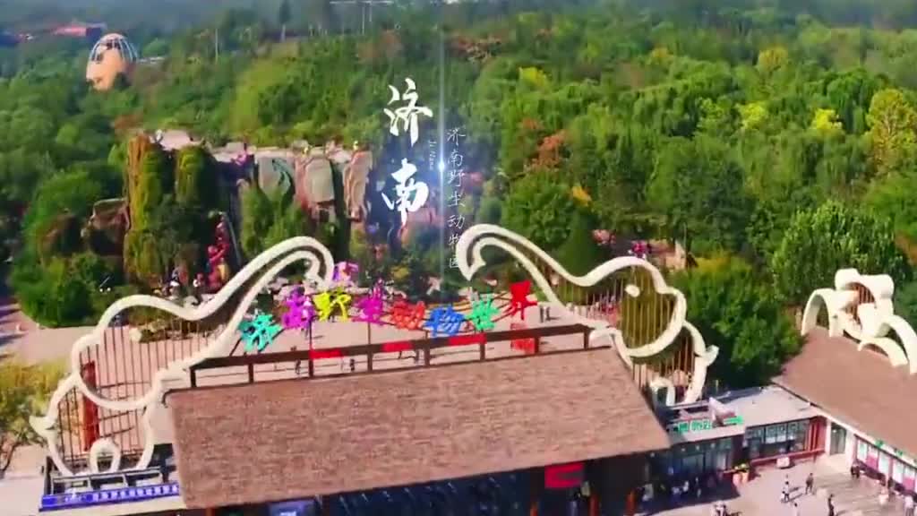 春暖花开奔你而来济南野生动物世界也恢复开园啦来和你喜爱的萌宠来个近距离接触吧