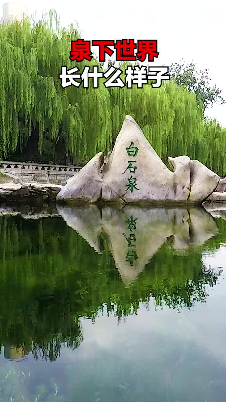 泉水下面是啥样的咕噜咕噜来一起感受吧