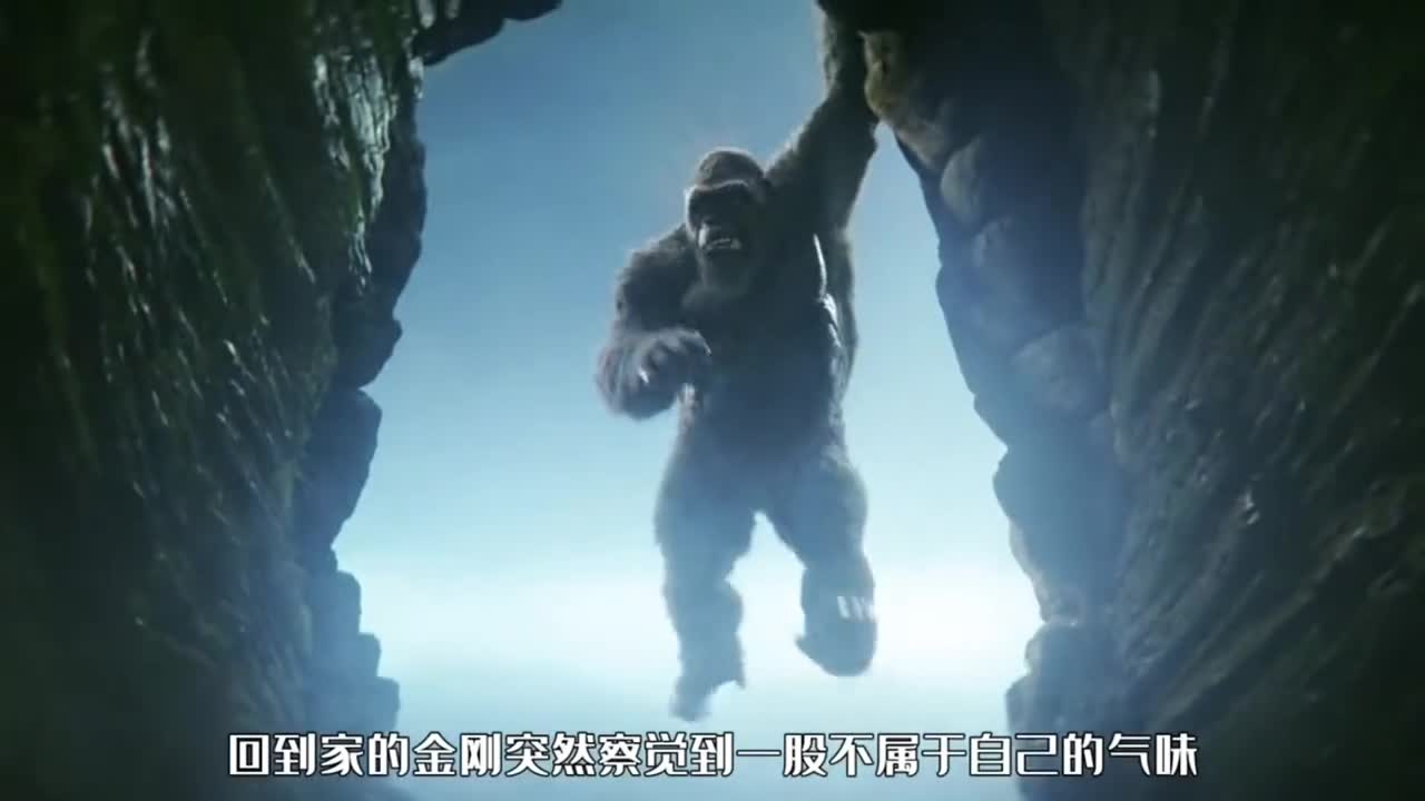 注意看金刚也来大美山东啦