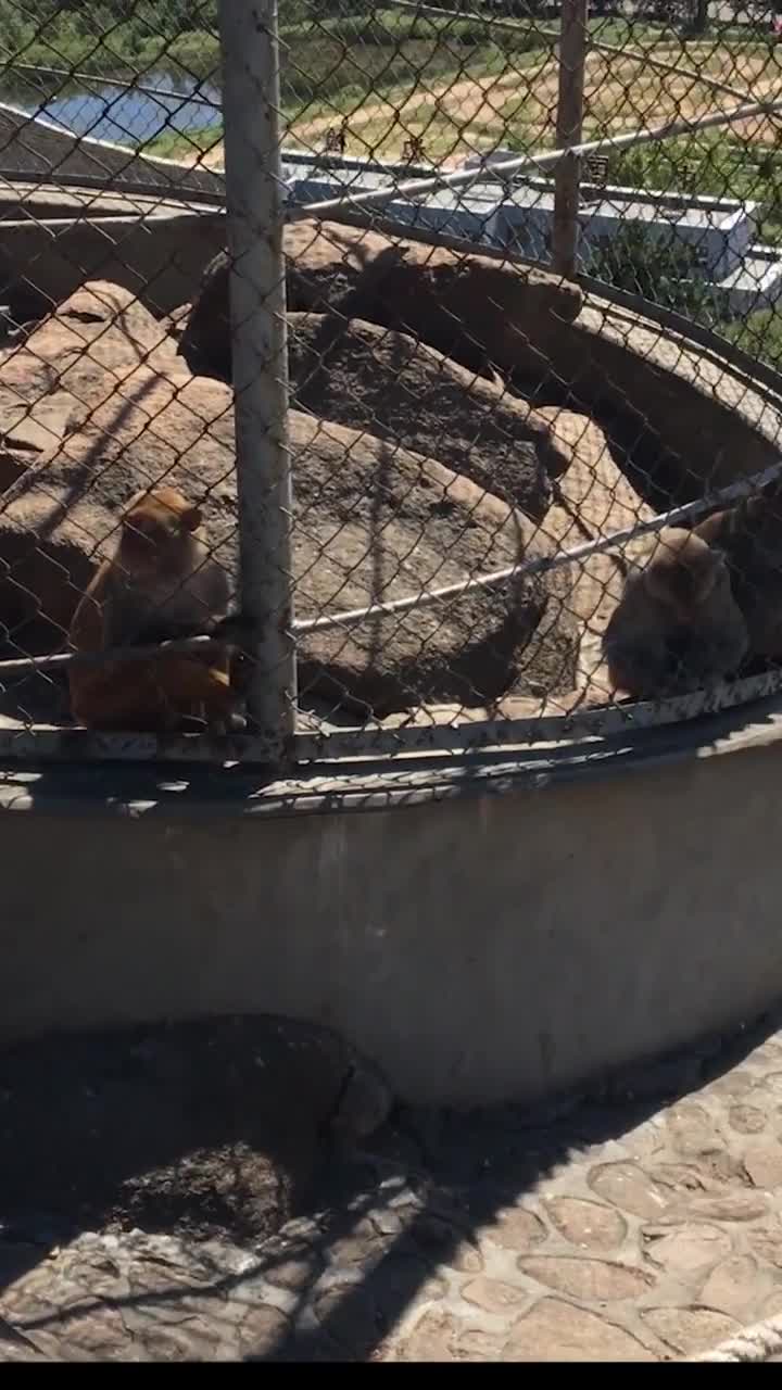 这个音乐从来不会让你失望