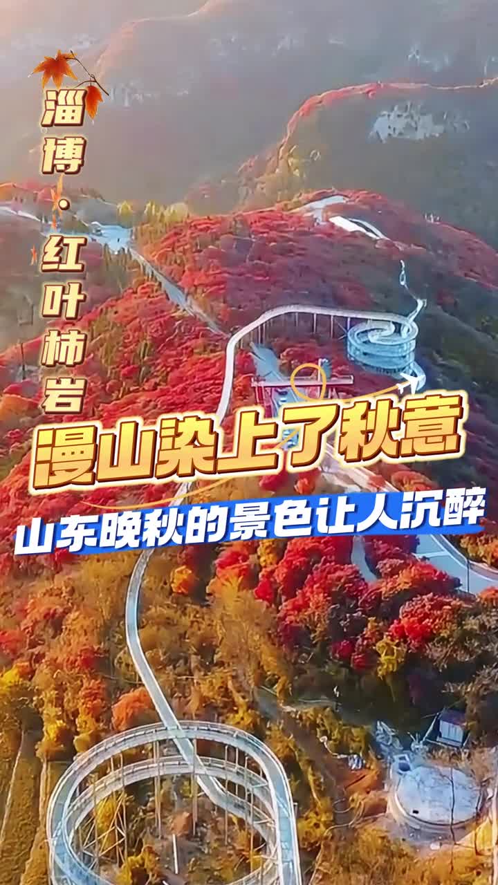 漫山染上了秋意山东晚秋的景色让人沉醉