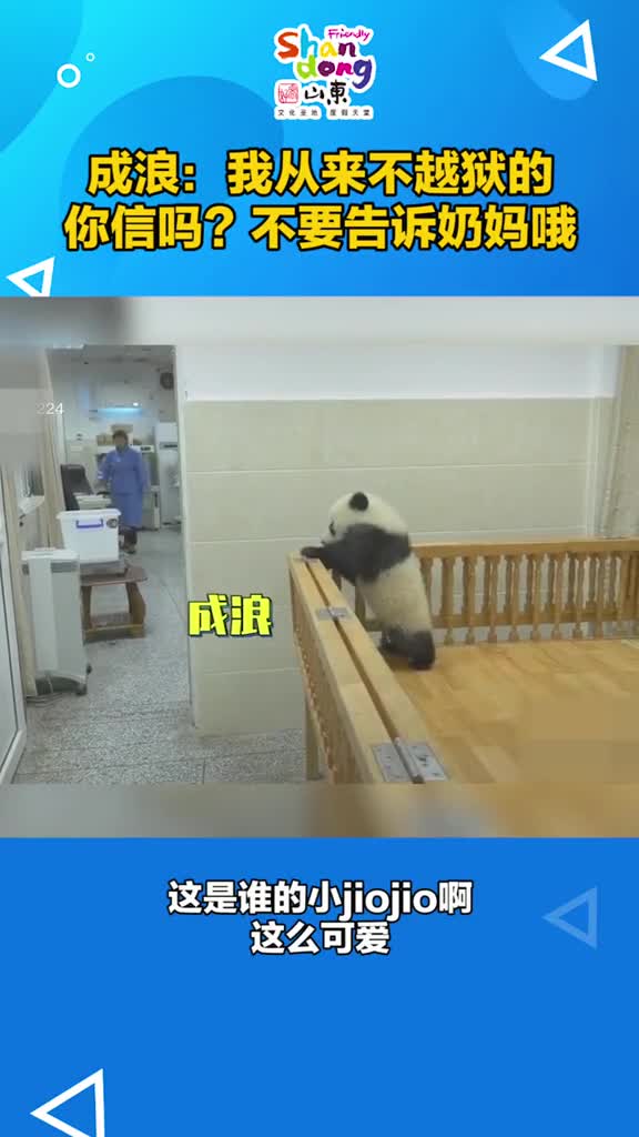 熊猫宝宝越狱记这小jiojio也太可爱了吧