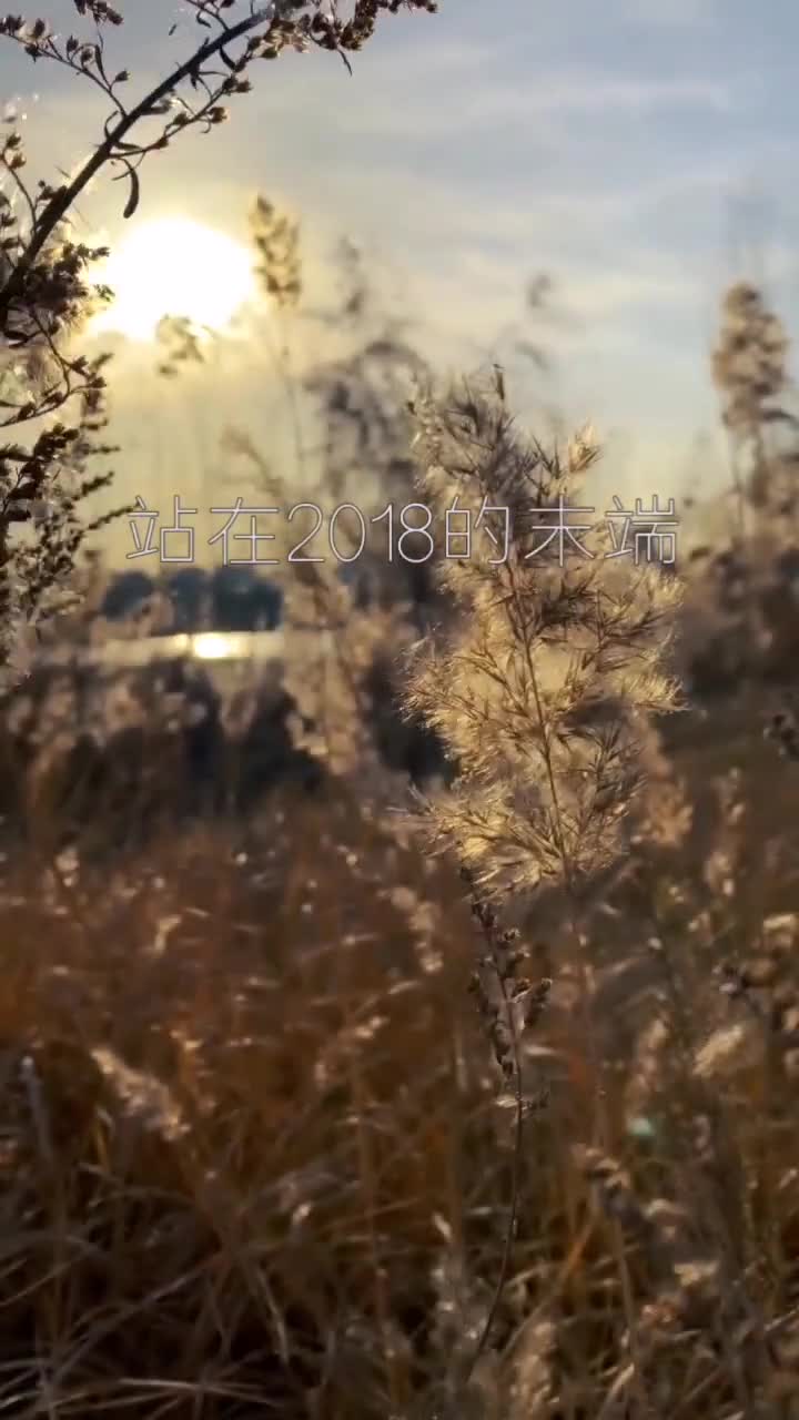 新的一年做个潇洒的人往事清零爱恨随意