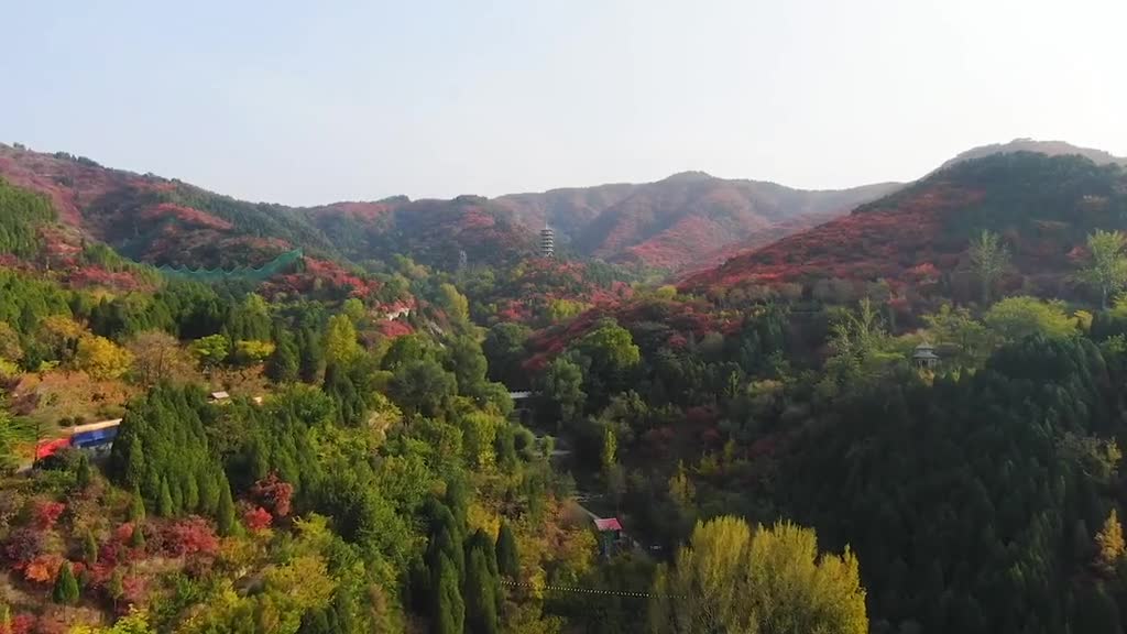 撩人秋色已上线漫山红遍的济南红叶谷抬眼便是画姿态万千天气好一起来赏红叶啊