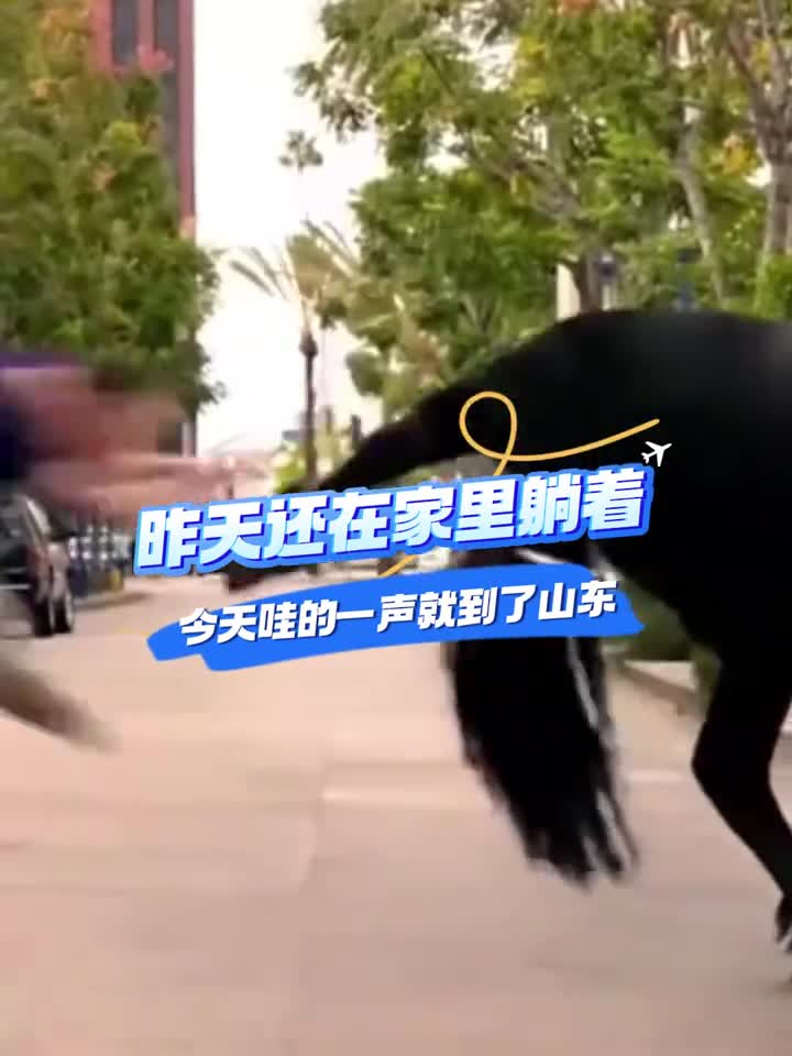 昨天还在家里躺着今天哇的一声就到了山东