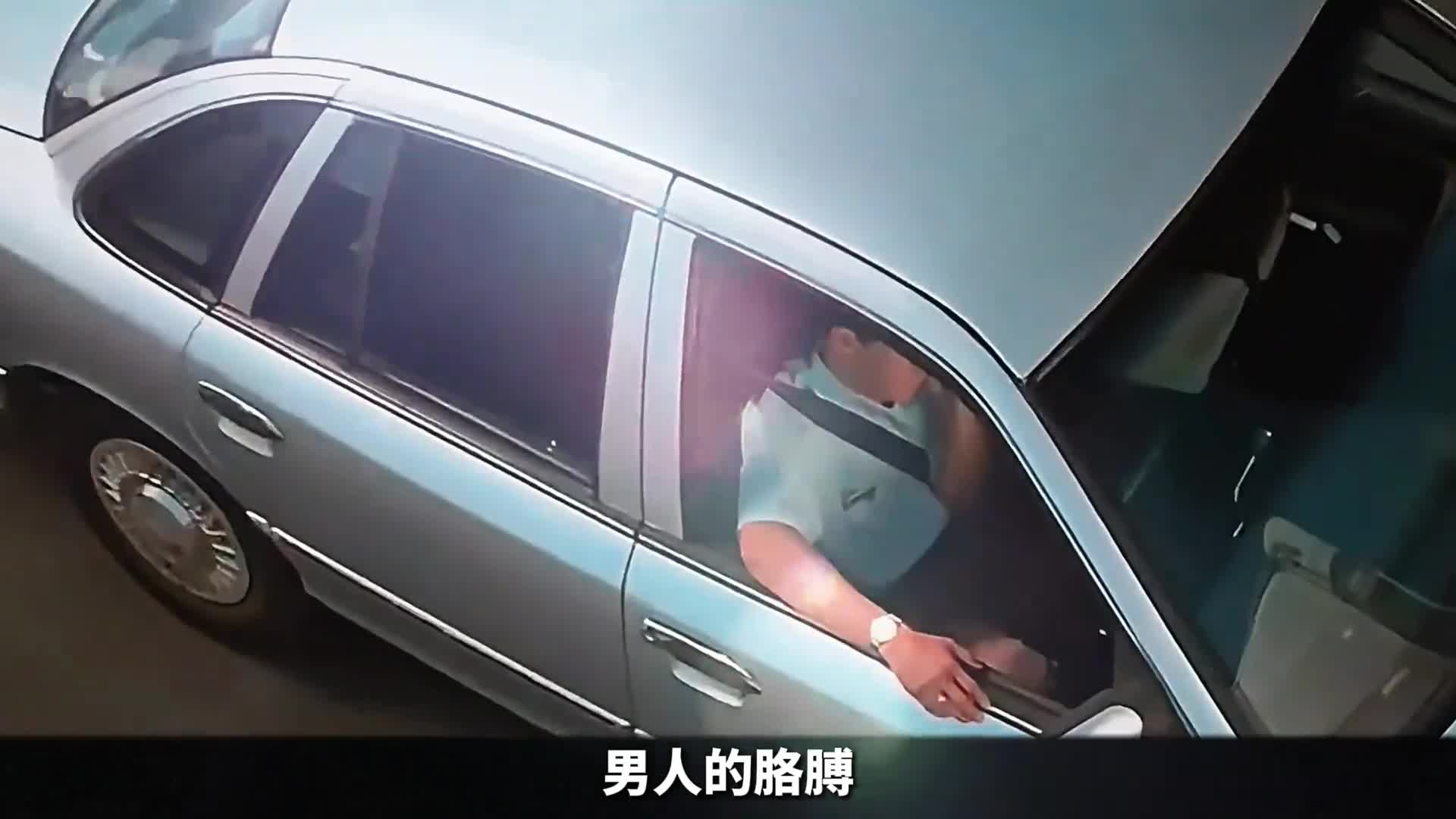 注意看反转来啦原本在水里活蹦乱跳的鱼儿竟然变成了