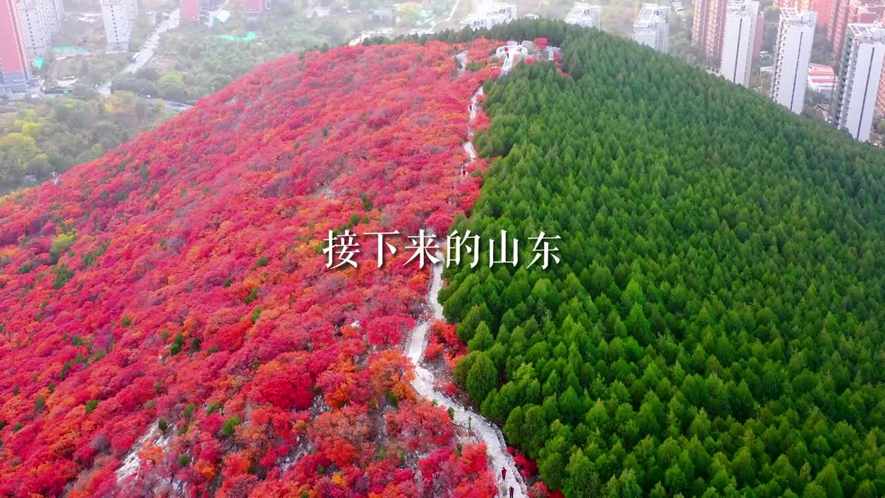 这个秋天总要来趟山东吧接下来的风景将是这样的