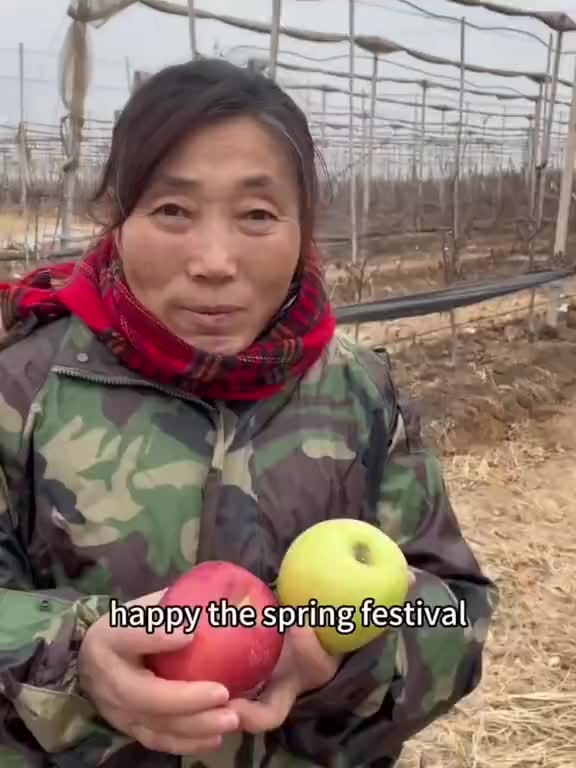 烟台苹果霞姐一口流利英语卖苹果出圈烟台苹果走向世界