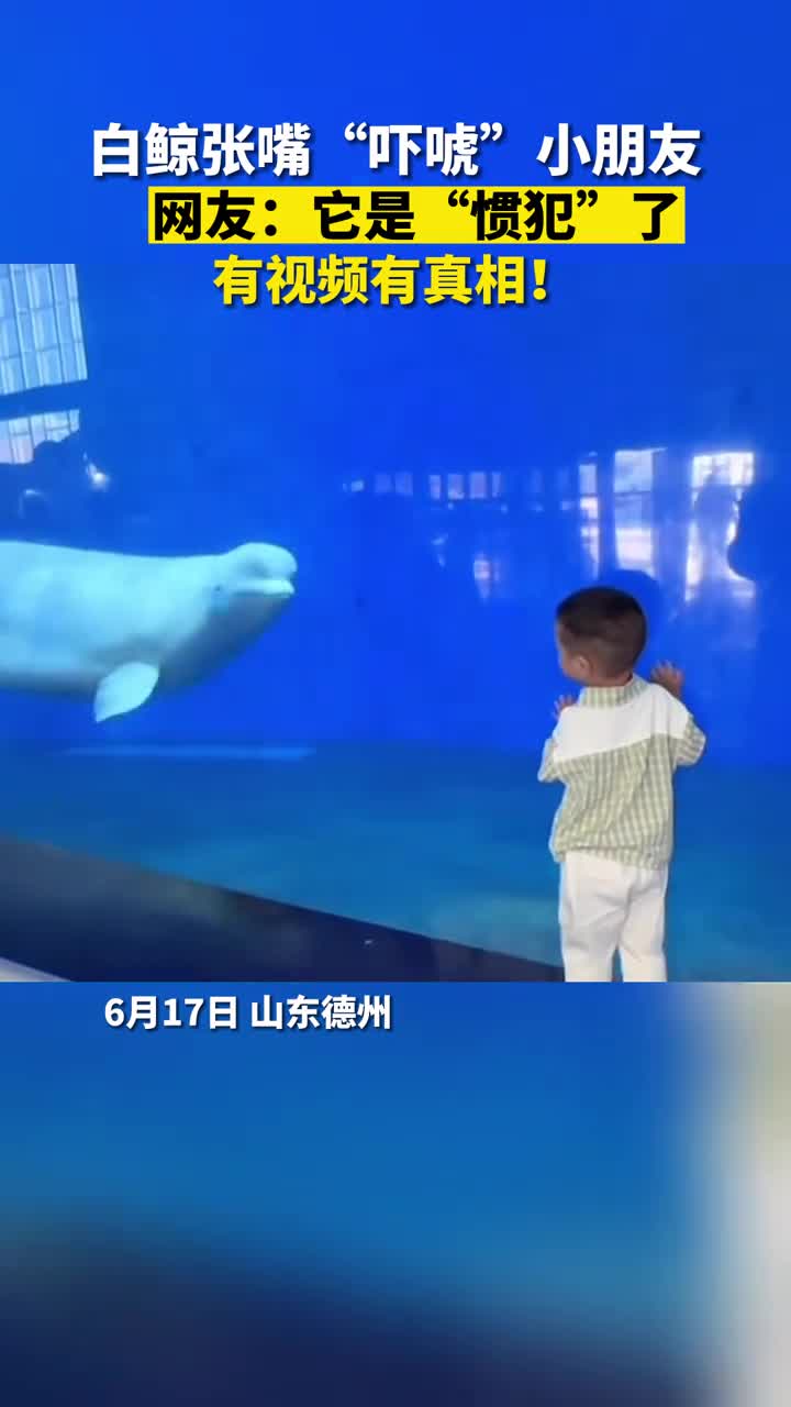 泉城欧乐堡海洋极地世界白鲸张嘴吓唬小朋友白鲸能有什么坏心眼它只是想跟小朋友玩耍一下