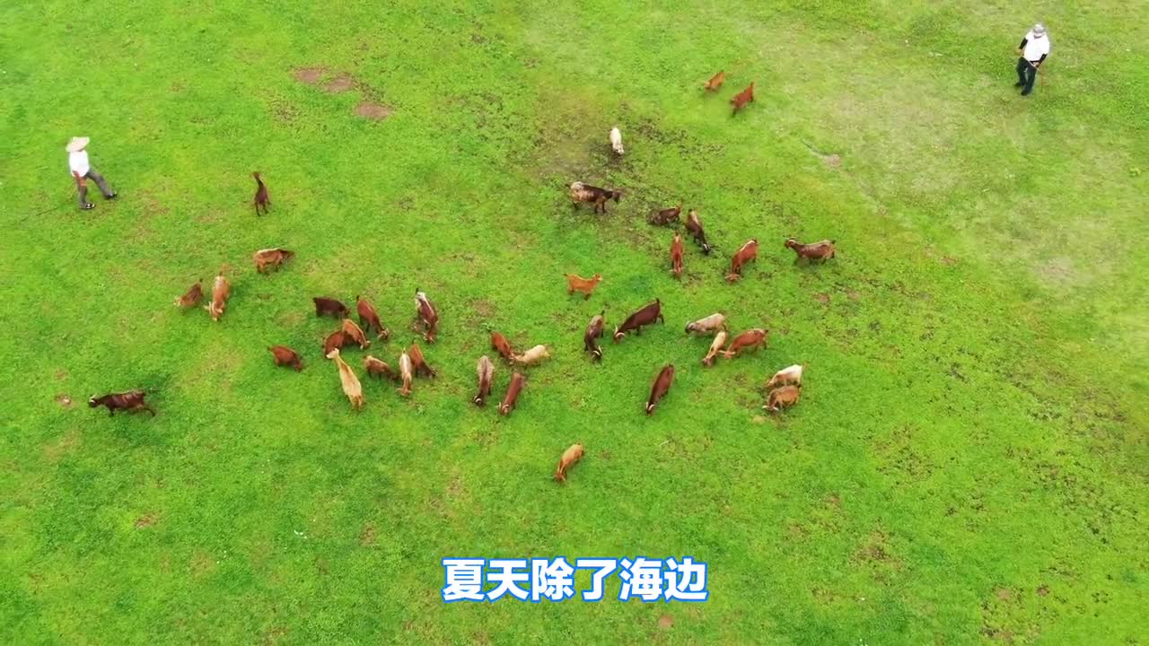 炎炎夏日何以消暑来临沂打卡夏日避暑清凉好去处