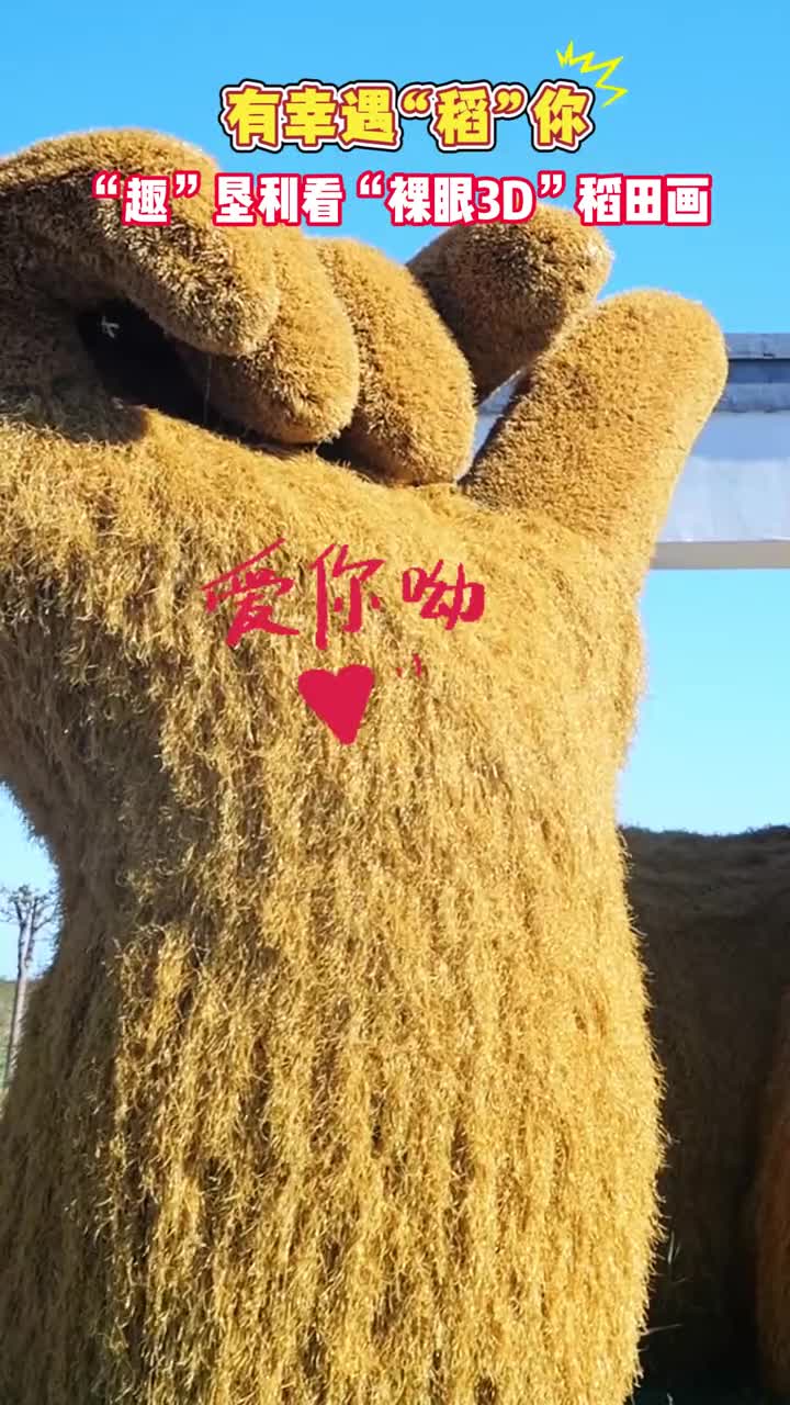 有幸遇稻你十一假期去哪儿玩趣垦利看裸眼3D稻田画吧