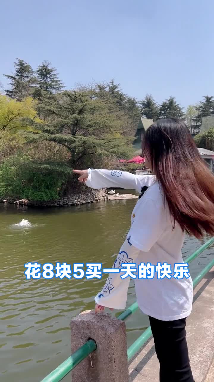 这么便宜的动物园确定不逛一下快来青岛动物园体会一下八块五带来的快乐