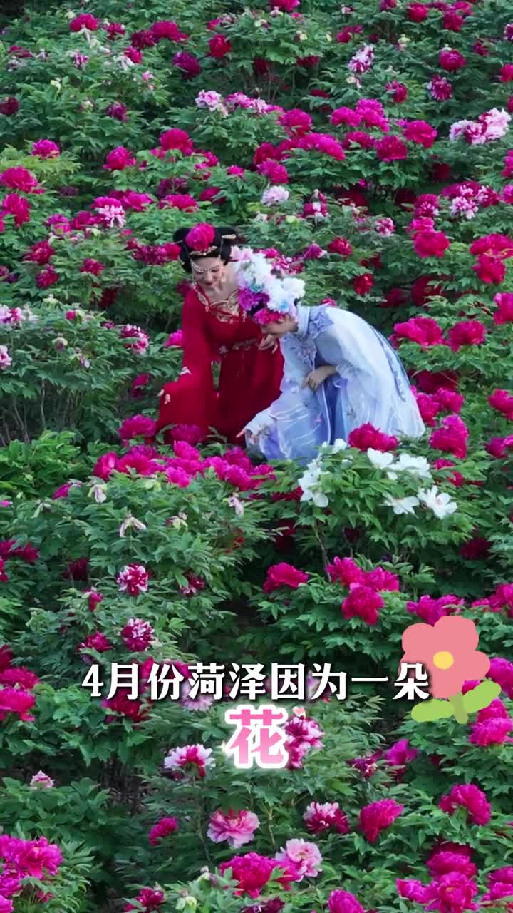 这就是菏泽人的热情志愿者在菏泽南站为游客提供免费服务