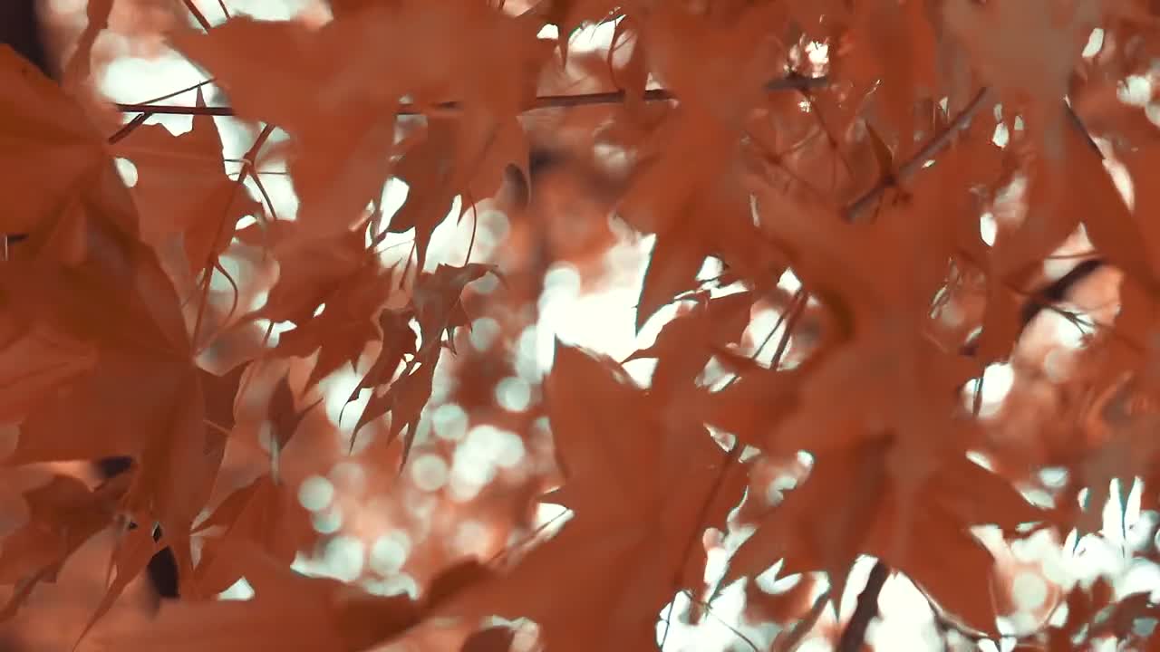 济南热门婚纱照拍摄地有多少人是从这里走向幸福彼岸的