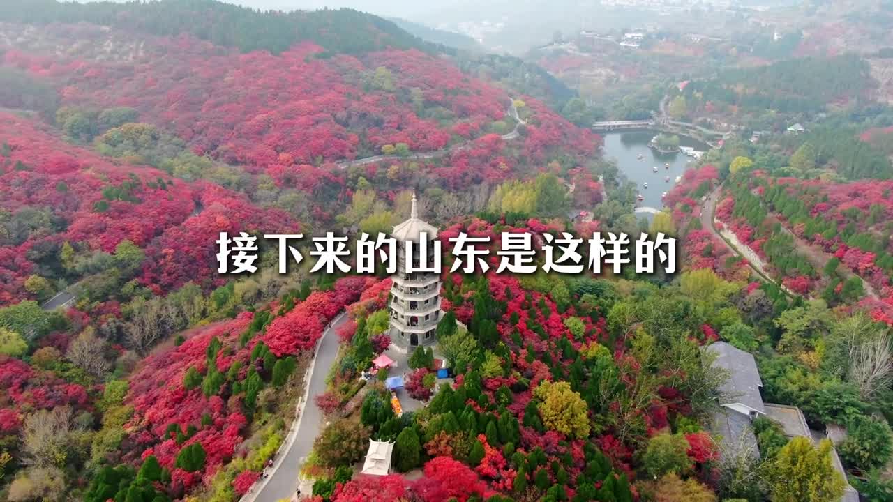 接下来的山东是这样的今年别再错过山东的秋天啦
