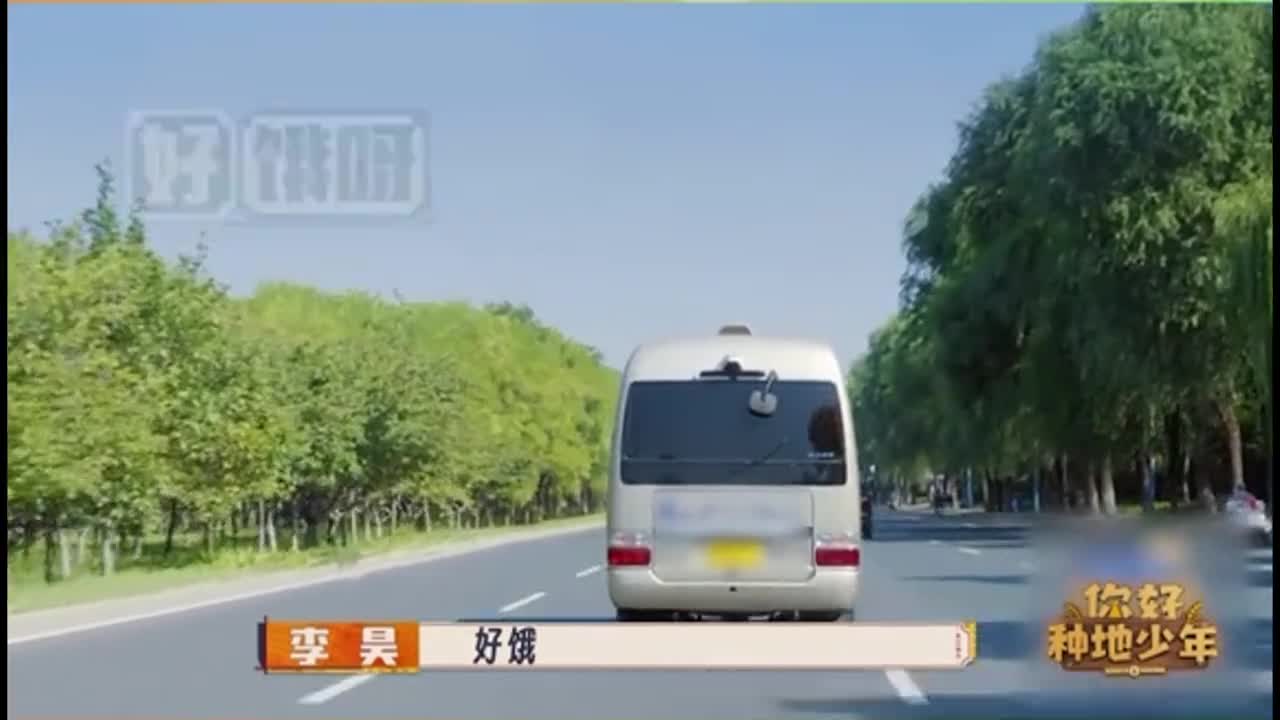 来啦来啦今天和