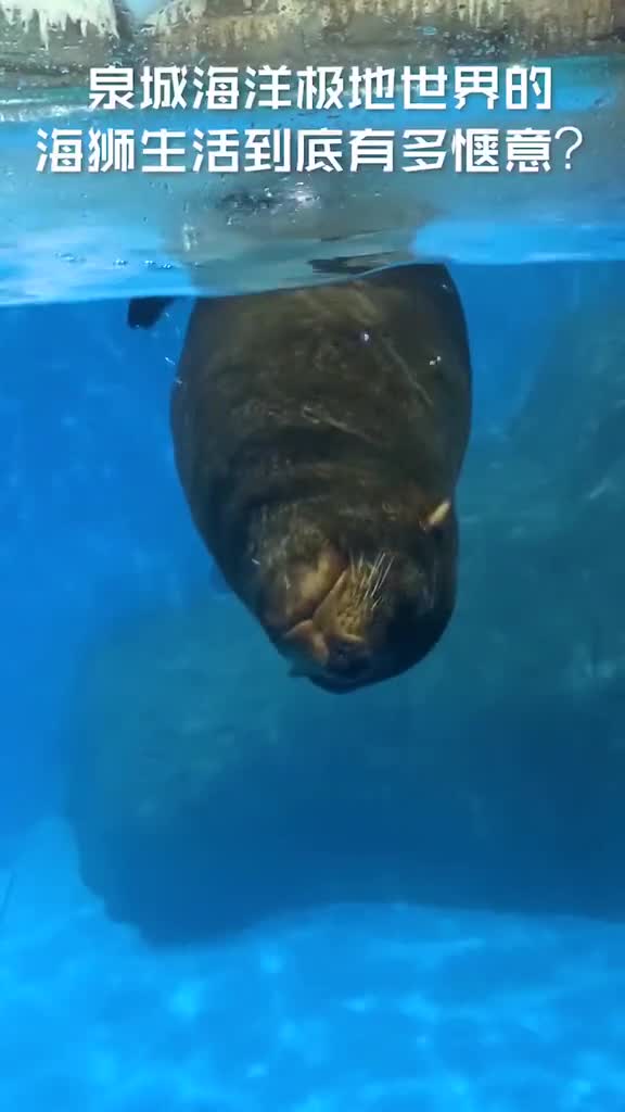 惬意的午后就缺一杯下午茶了吧