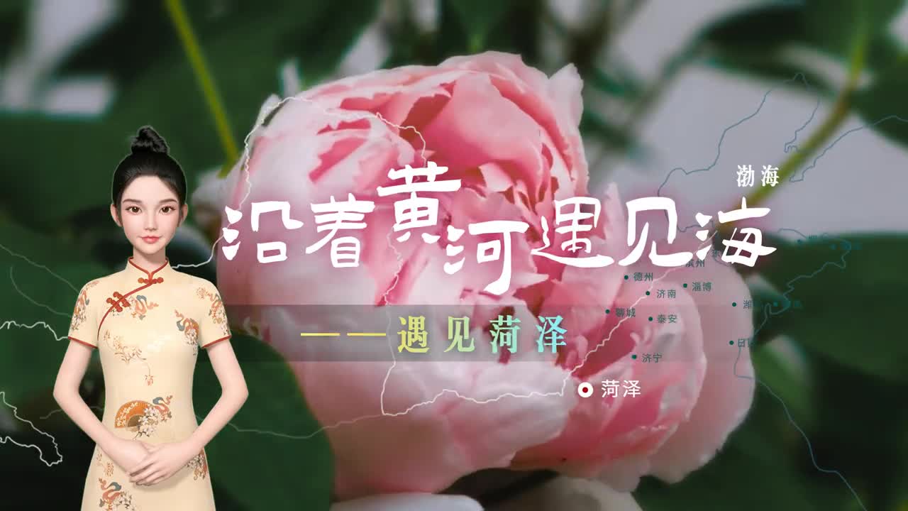 沿着黄河遇见海虚拟主播带你云游中国牡丹之都菏泽