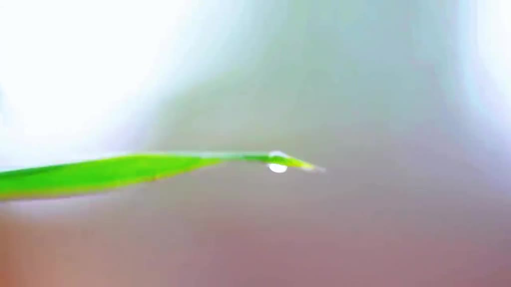 泉依山出竹因泉生村民绕泉而居砌石为房竹林隐茅舍家家临清流田园瓜果香这就是中国北方难得一见的桃花源式的村落临沂沂南县竹泉村