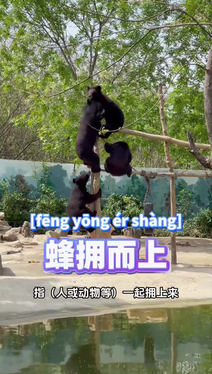 当学成语被具象化有用的知识又增加了快来山东济南野生动物世界跟着这些可爱的动物们学习成语吧