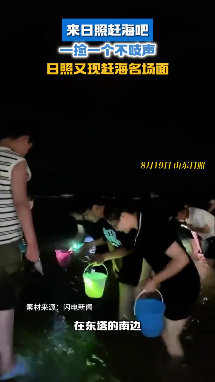 日照又现赶海名场面来日照赶海吧一捡一个不吱声