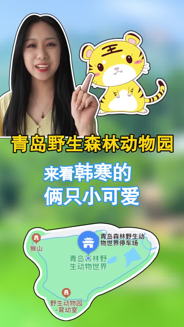 永久停止动物表演青岛森林野生动物世界不仅硬核还超级有爱