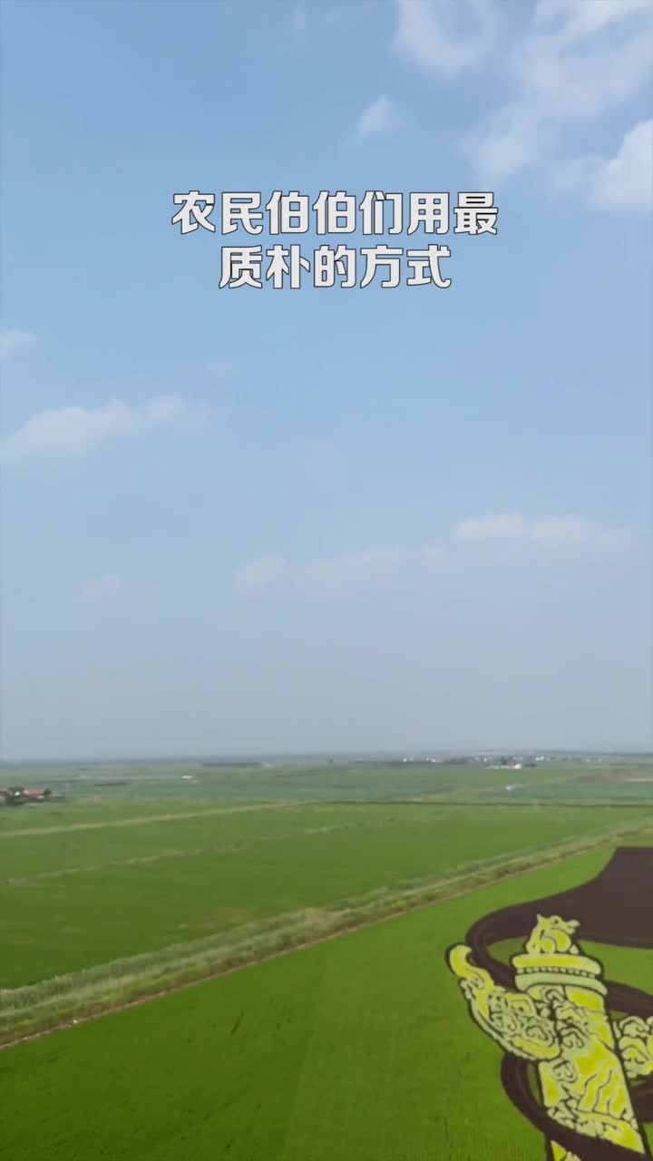 庆丰收迎小康山东农人们用最质朴的方式表达自己对伟大祖国的美好祝福