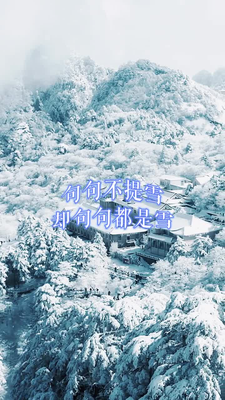 昨天山东多地降下春雪一下雪每个城市就有了故事被人艾特看雪应该是件很幸福的事吧