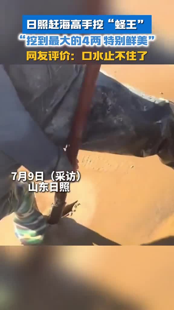 日照赶海高手挖蛏王挖到最大的4两特别鲜美网友评价口水止不住了