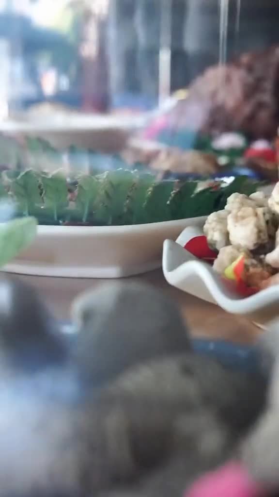 欢迎来到石头菜馆想吃什么您尽管点